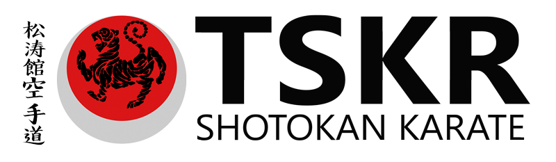 TSKR - Martial Arts Website preview